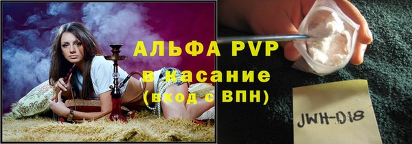 спиды Ладушкин