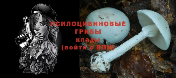 спиды Ладушкин